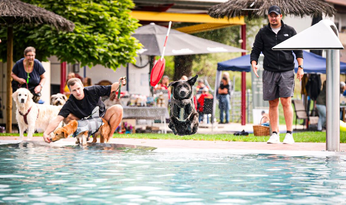 Foto 10: Am Ende der Saison gehört das Mönsheimer Freibad den Vierbeinern. Beim ...