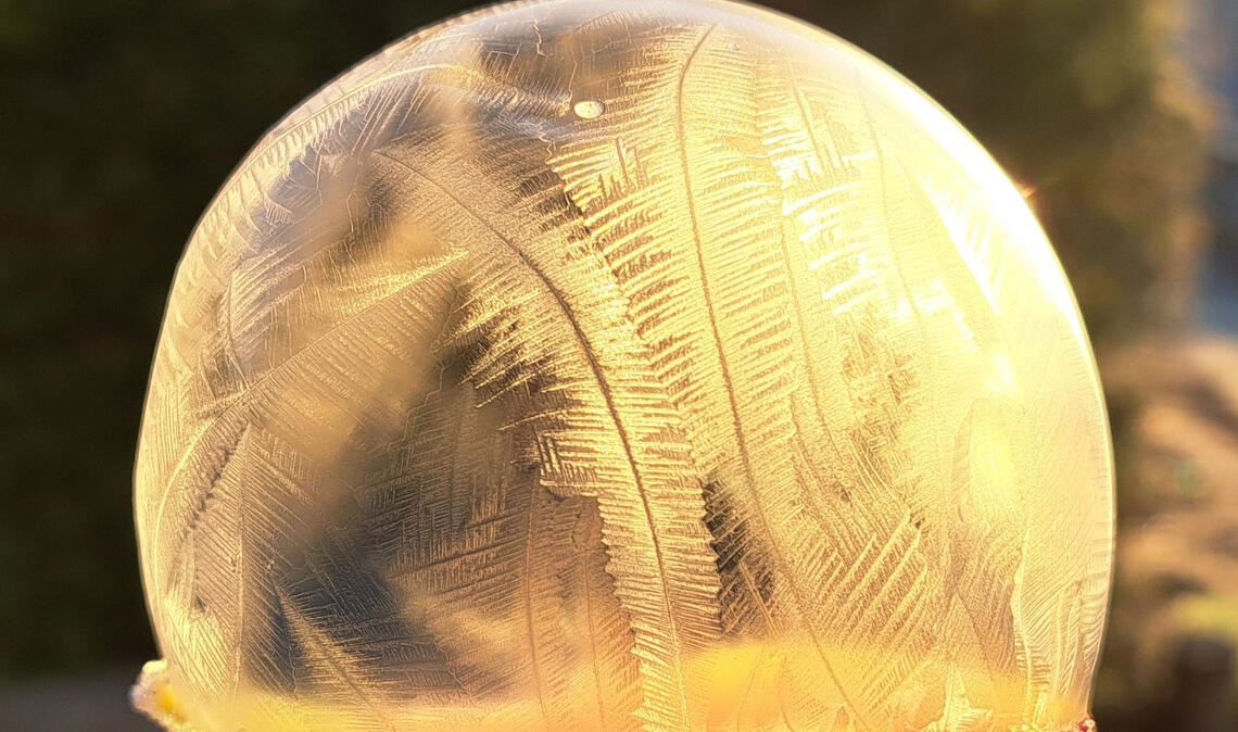 Foto 3: Was wäre unsere Zeitung ohne die Bilder unserer Leser ? Auf jeden Fall w...