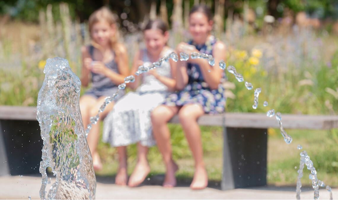 Foto 7: Mehrere Hitzewellen haben auch diesen Sommer geprägt mit Temperaturen je...