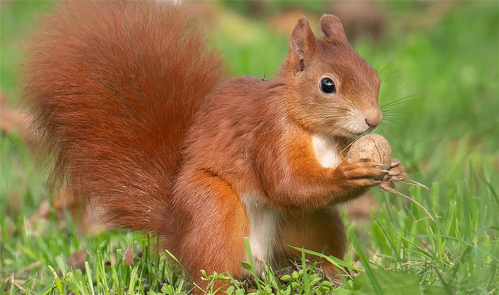 Foto: Archiv/Lachstädter