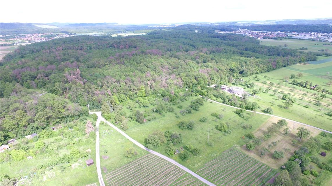 910_0008_174167_Koeberle_Drohnenfoto_Sauberg