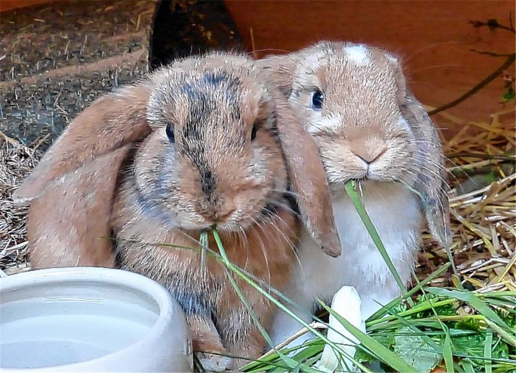 Frühlingsgefühle