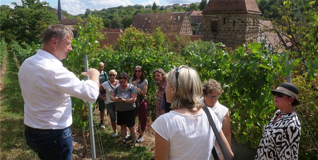 Frank Jaggy (li.) erklärt den Besuchern einer Sonderführung, wie Weinbau in den Lagen des Closterweinbergs Maulbronn funktioniert. Foto: Friedrich