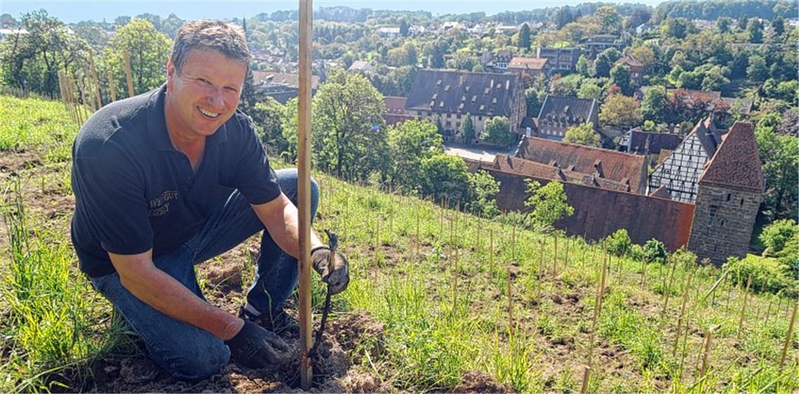 Frank Jaggy pflanzt zurzeit in mühseliger Schwerstarbeit Weiß- und Grauburgunder am Maulbronner Klosterberg auf frisch sanierten Terrassen an, die er von der Stadt gepachtet hat. Bis 2016 muss sich der Wengerter aus Schönenberg gedulden, erst dann sind die Reben so gewachsen, dass eine ernstzunehmende Weinlese erfolgen kann. 