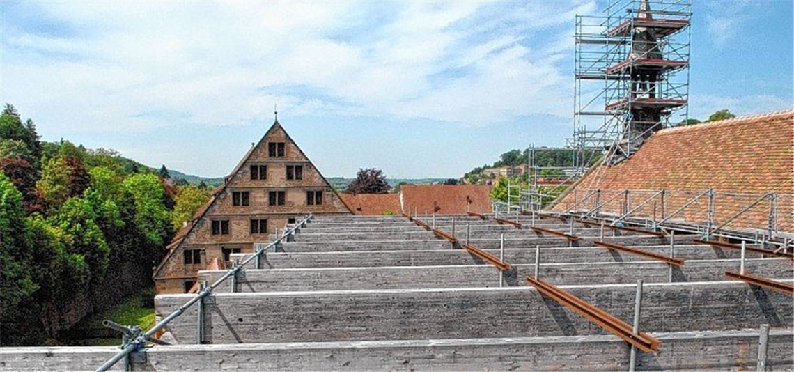 Notre Dame mahnt zur Wachsamkeit Notre Dame mahnt zur Wachsamkeit