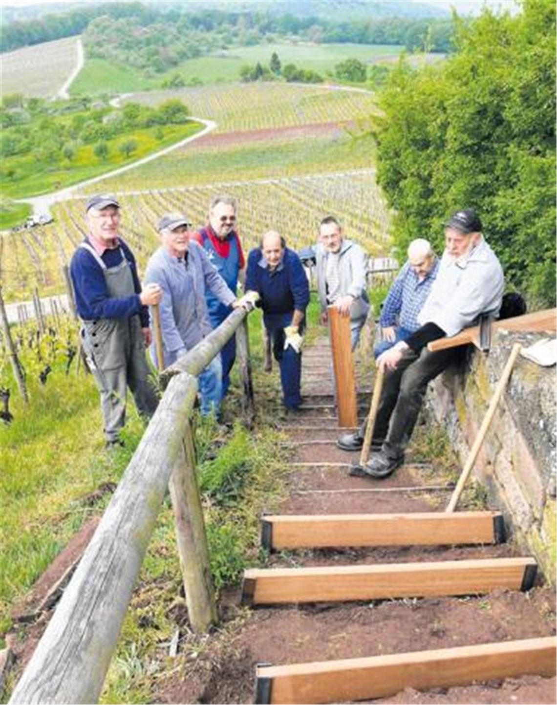 Freiwillige Helfer aus Sternenfels bringen die Treppe am Augenberg in Schuss. 
Foto: Garhöfer