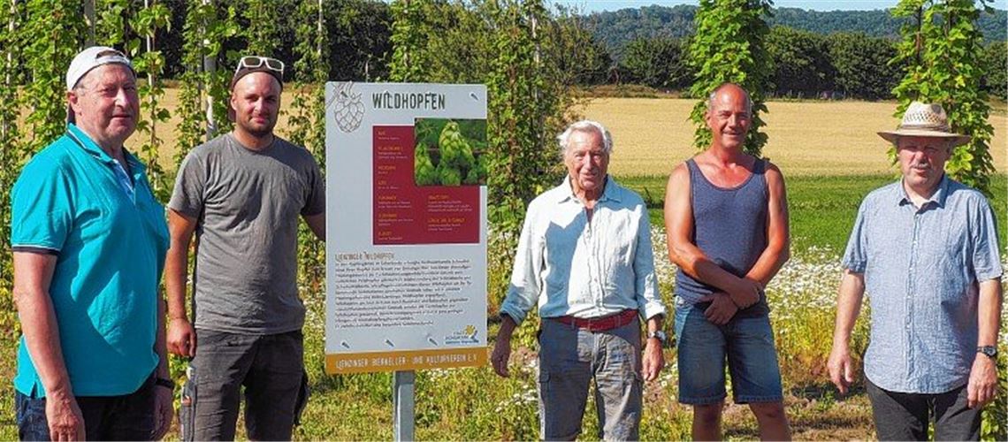 Pflanzen wollen hoch hinaus