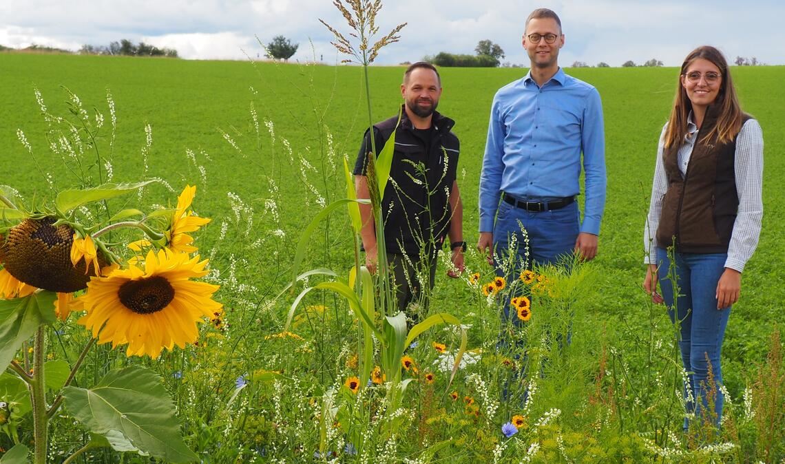 Blühende Vielfalt statt Mais-Monotonie Freuen sich über das farbenfrohe Wildpflanzenfeld im Friolzheimer Versuchsanbau (v. li): Pflanzenbauberater Sven Nagel, Holger Nickel, Dezernent des Landwirtschaftsamts Enzkreis, und die Biodiversitätsberaterin Franziska Fuchs. Foto: M. Müller