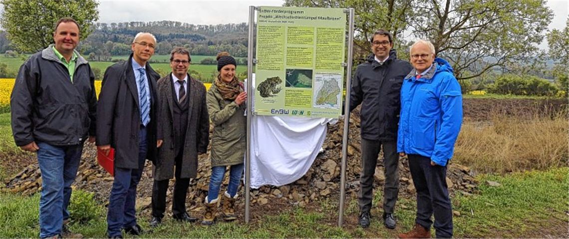 Lebensraum für Kröten ist gerettet