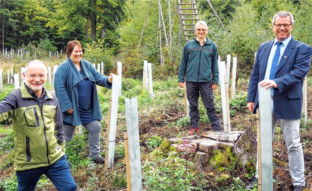 Freuen sich über die gepflanzten Traubeneichen (v.re.): Bürgermeister Andreas Felchle, Revierförster Ulrich Klotz, Kämmerin Anja Klohr und der städtische Waldsachbearbeiter Jürgen Kern. Foto: Müller