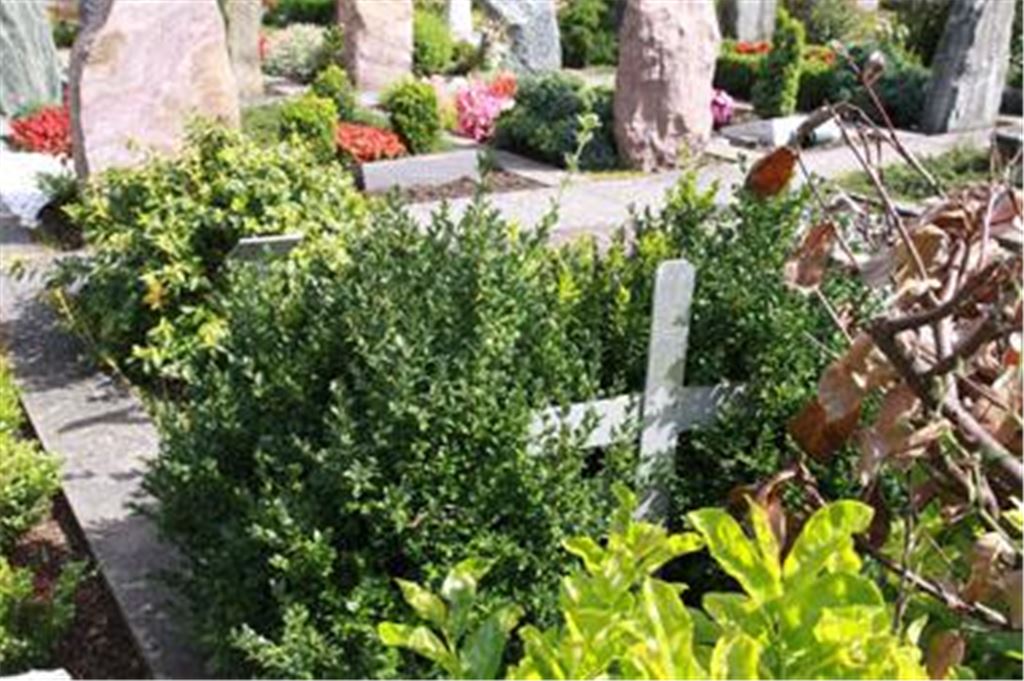 Friedhof Lienzingen, Feld 12, Grab Nummer 41: die letzte Ruhestätte von Frank Friedrich, der 1994 im Alter von 32 Jahren starb. Die Stadt hat bislang vergeblich nach Angehörigen geforscht. Foto: Franz