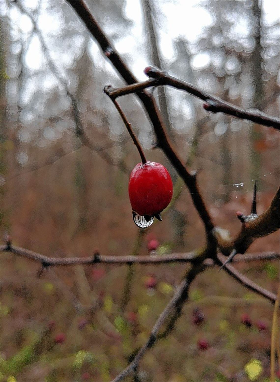 Herbstfarben Herbstfarben
