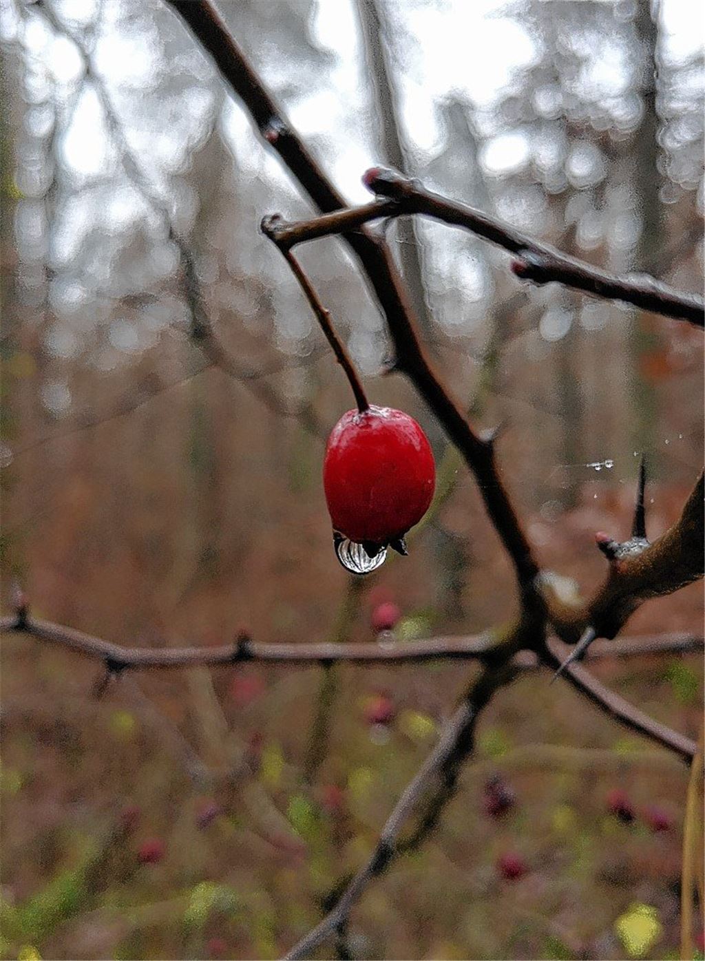 Herbstfarben