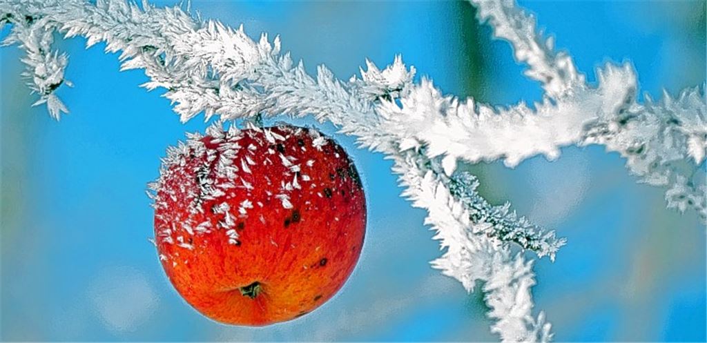 Winterbilder