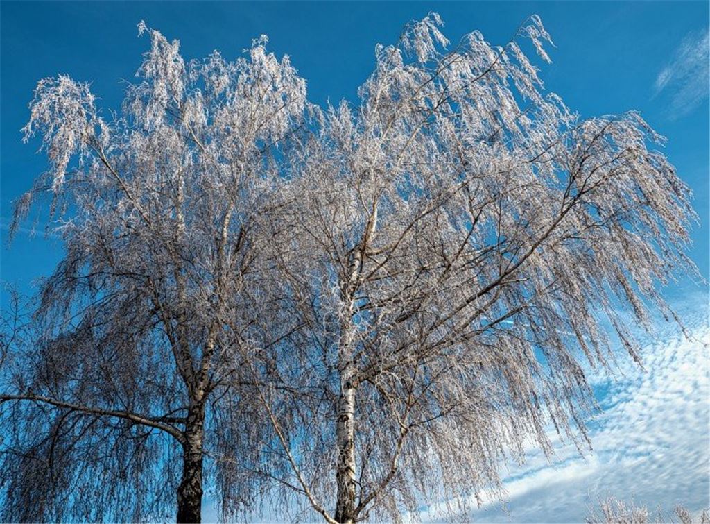 Winterzeit