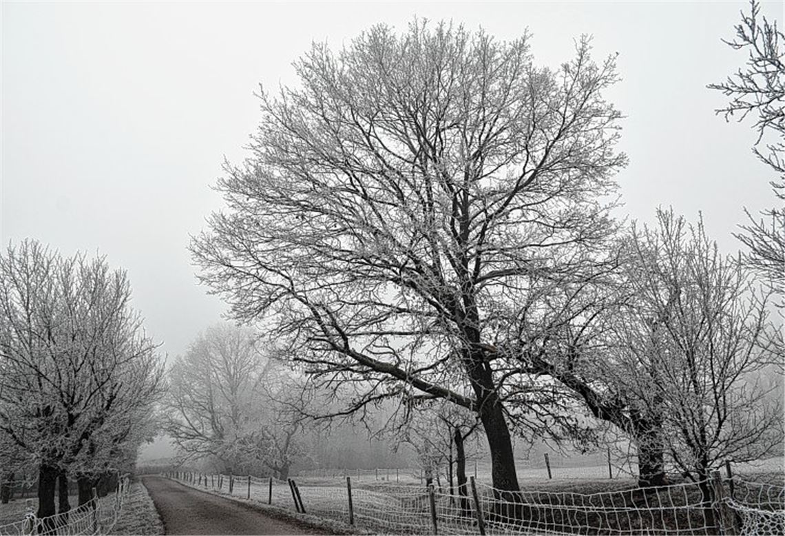 Winterzeit Winterzeit