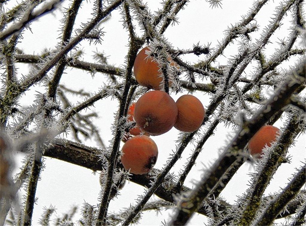 Winterzeit