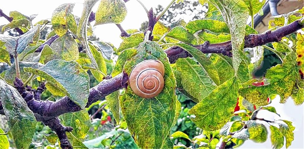 Sommerzeit