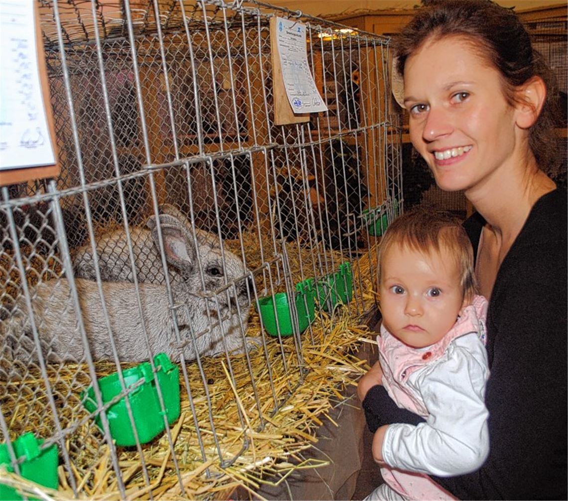 Illinger Kleintierschau besticht mit einer großen Vielfalt