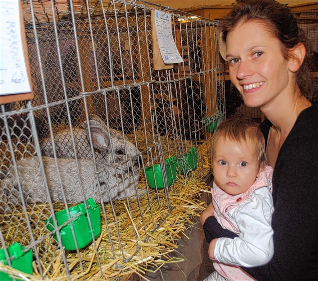 Illinger Kleintierschau besticht mit einer großen Vielfalt