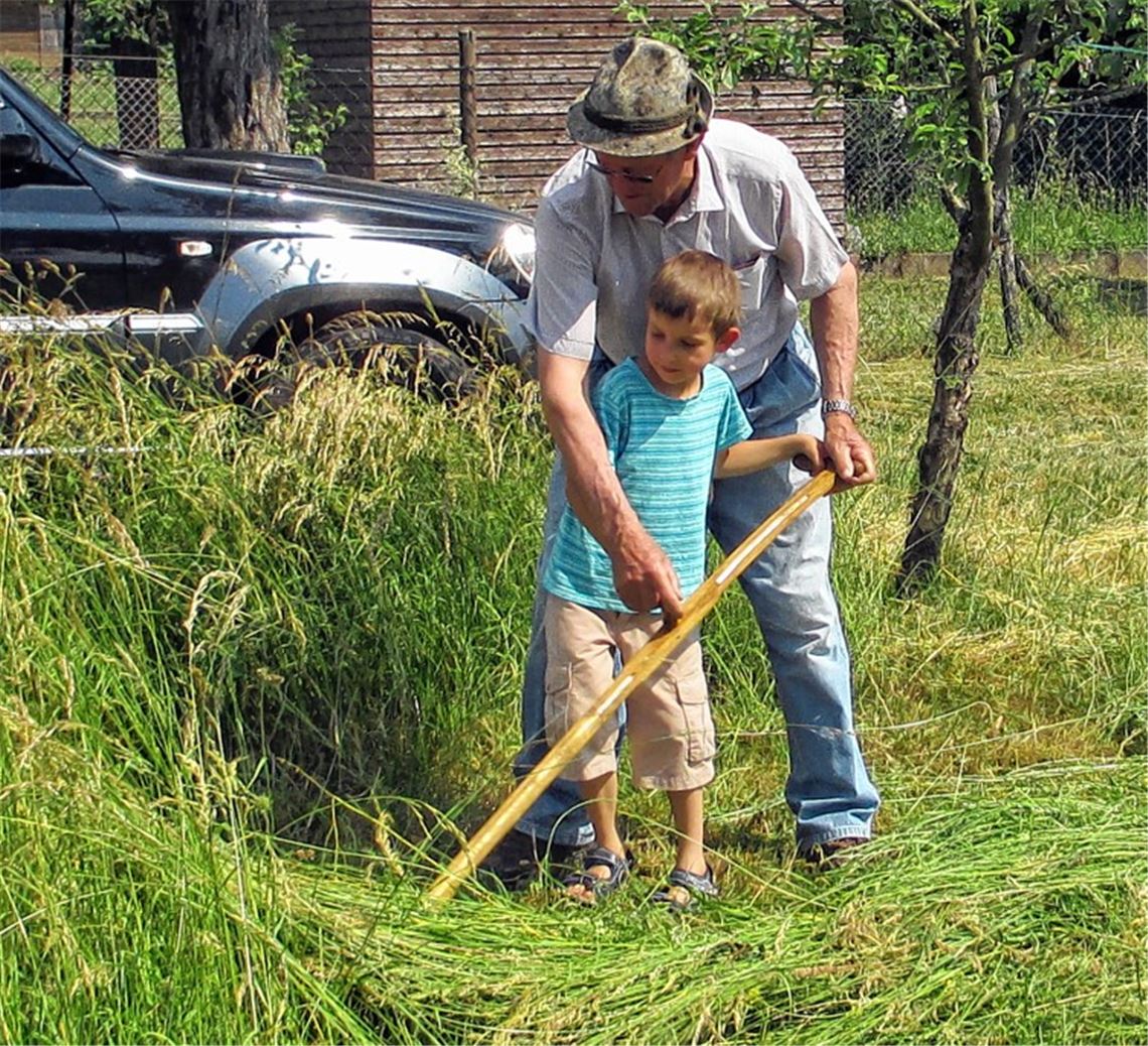 Früh übt sich, wer gut mähen will. Foto: p