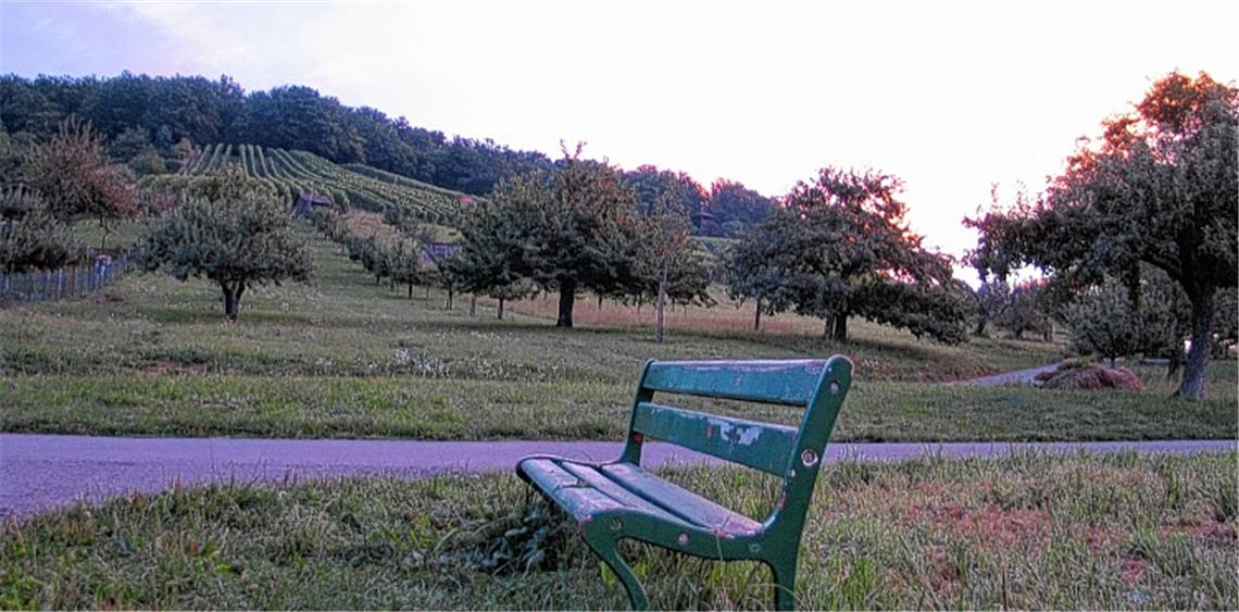 Früh um 6 Uhr morgens harrt die Bank noch unbelastet der Dinge. Kein Spaziergänger weit und breit, der hier vor einer Tour auf den Sauberg Kraft tanken möchte.