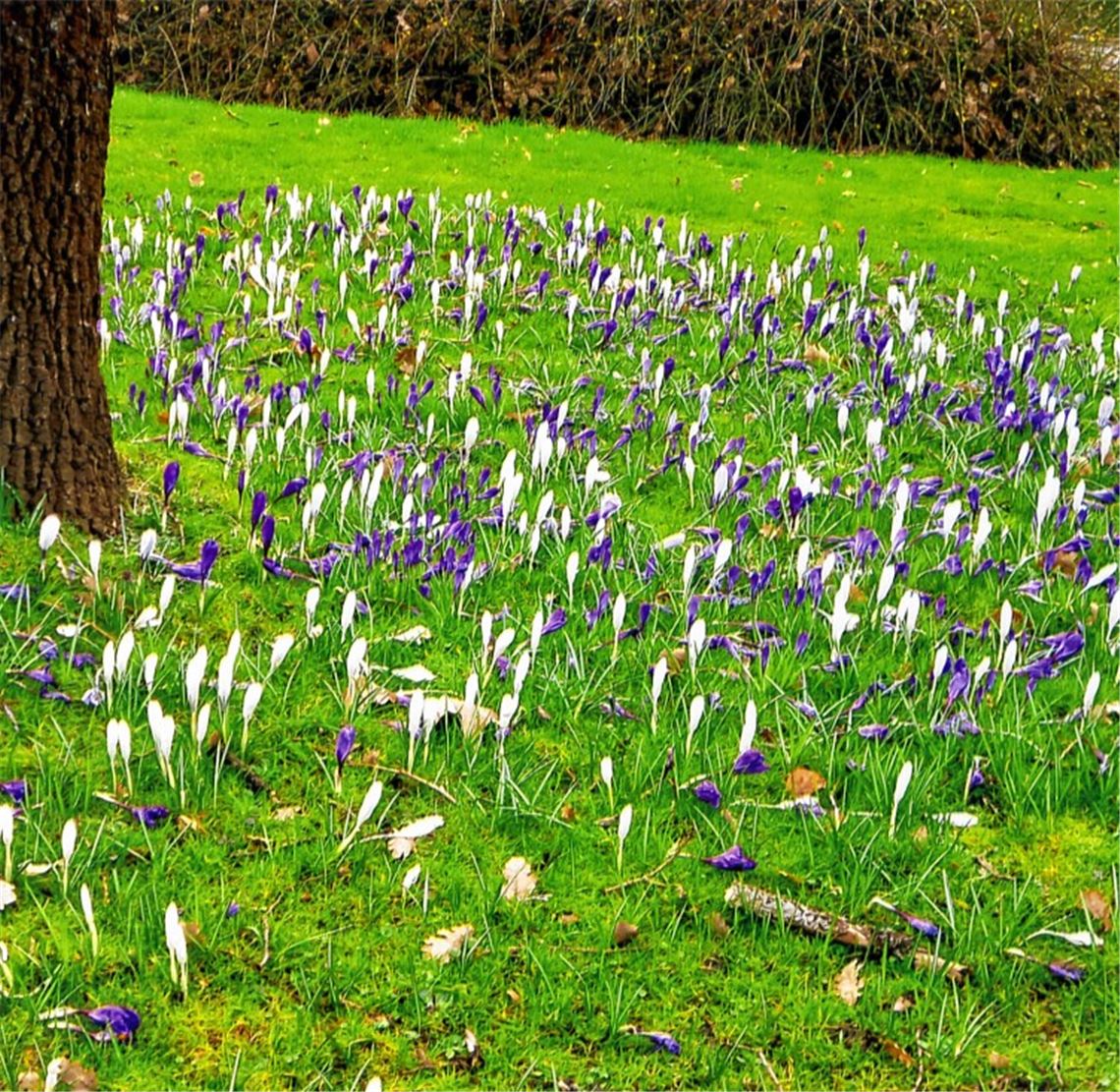 Frühlingsgefühle Frühlingsgefühle