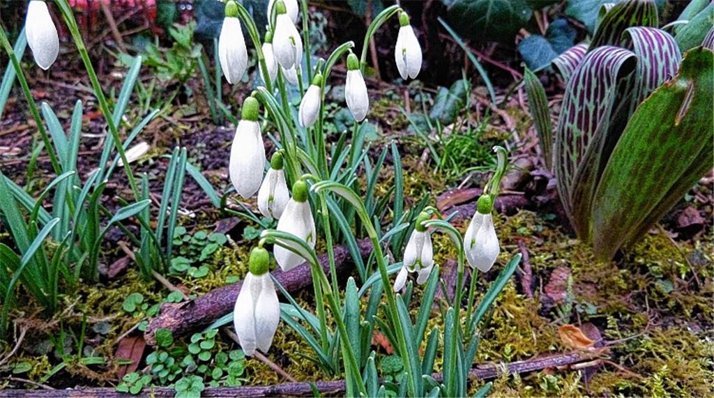 Winterbilder