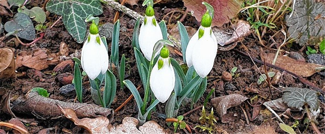 Winterzeit