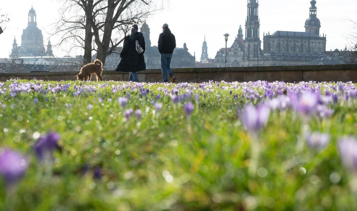 Frühlingshaftes Wetter kündigt sich schon vor dem meteorologischen Frühlingsbeginn am 1. März an.