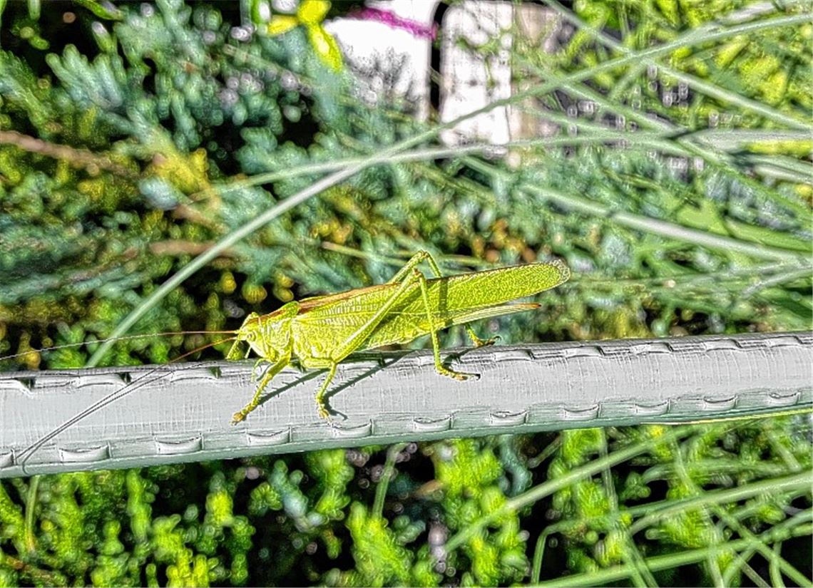 Sommerzeit
