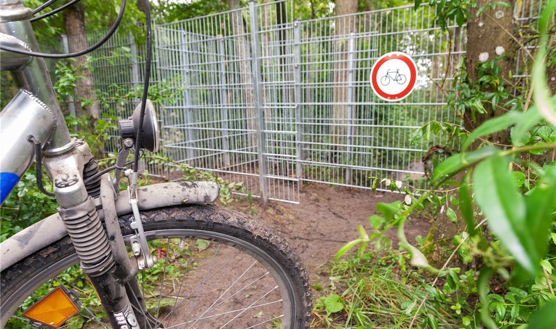 Chancen für offizielle Route steigen Für Mountainbiker, die über Stock und Stein abwärts rauschen wollen, ein Ärgernis: Der wild entstandene Trail beim Chartaque-Turm ist aus Sicherheitsgründen blockiert worden. Foto: Fotomoment
