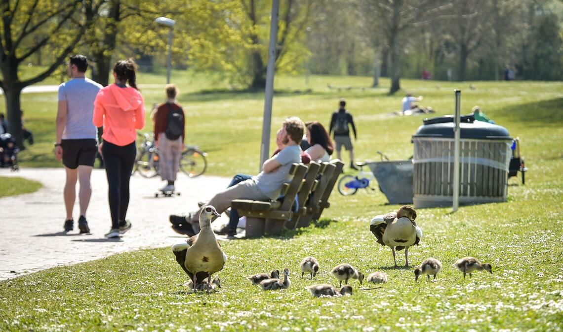 Für den 1. Mai wird freundliches Frühlingswetter immer wahrscheinlicher (Symbolbild).