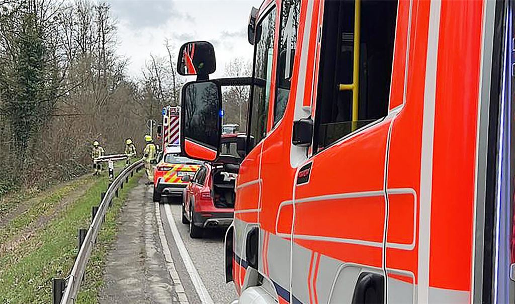 Für den Einsatz an der Enz – ein Stück oberhalb der alten Lederfabrik – muss die B10 in Fahrtrichtung Mühlacker für einige Zeit gesperrt werden. Foto: Feuerwehr Mühlacker