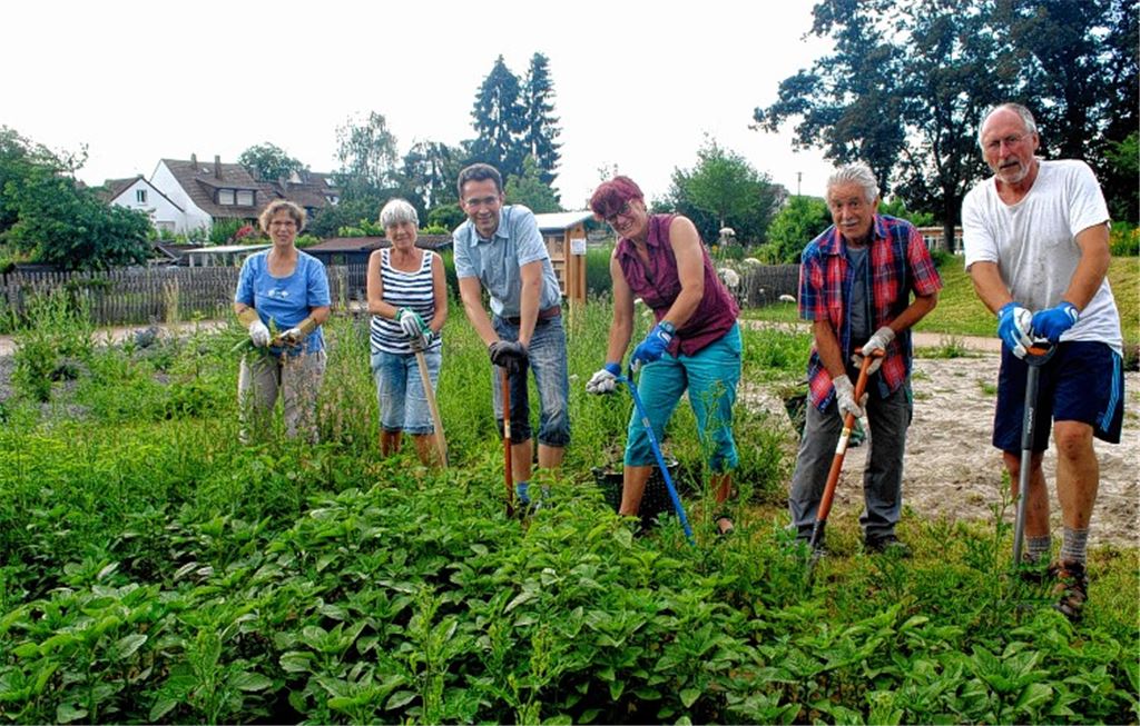 Arbeitseinsatz für friedliche Brummer