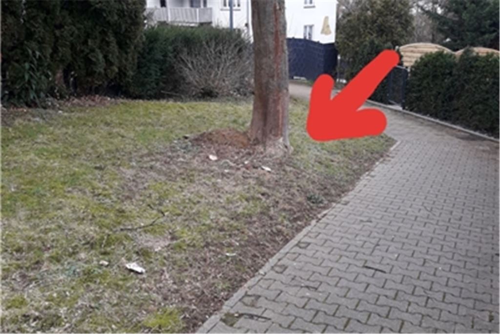 Fundort des (Gift-) Köders. Foto: Kreilach