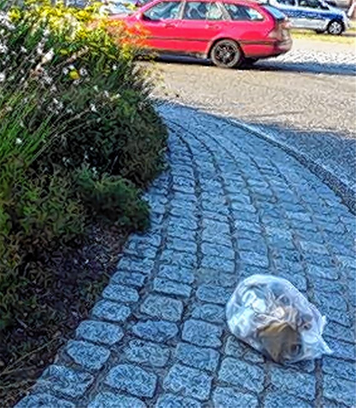Unbekannter entsorgt Abfall im Kreisverkehr