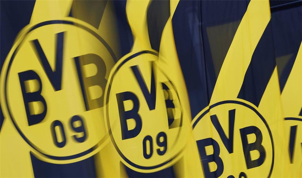 Fußball-Bundesligist Borussia Dortmund geht juristisch gegen einen Wahlwerbe-Aufkleber der örtlichen AfD vor (Symbolfoto).