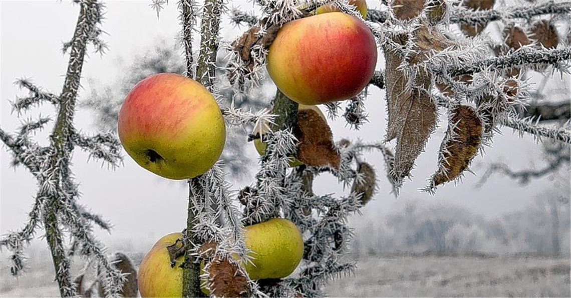 Winterzeit