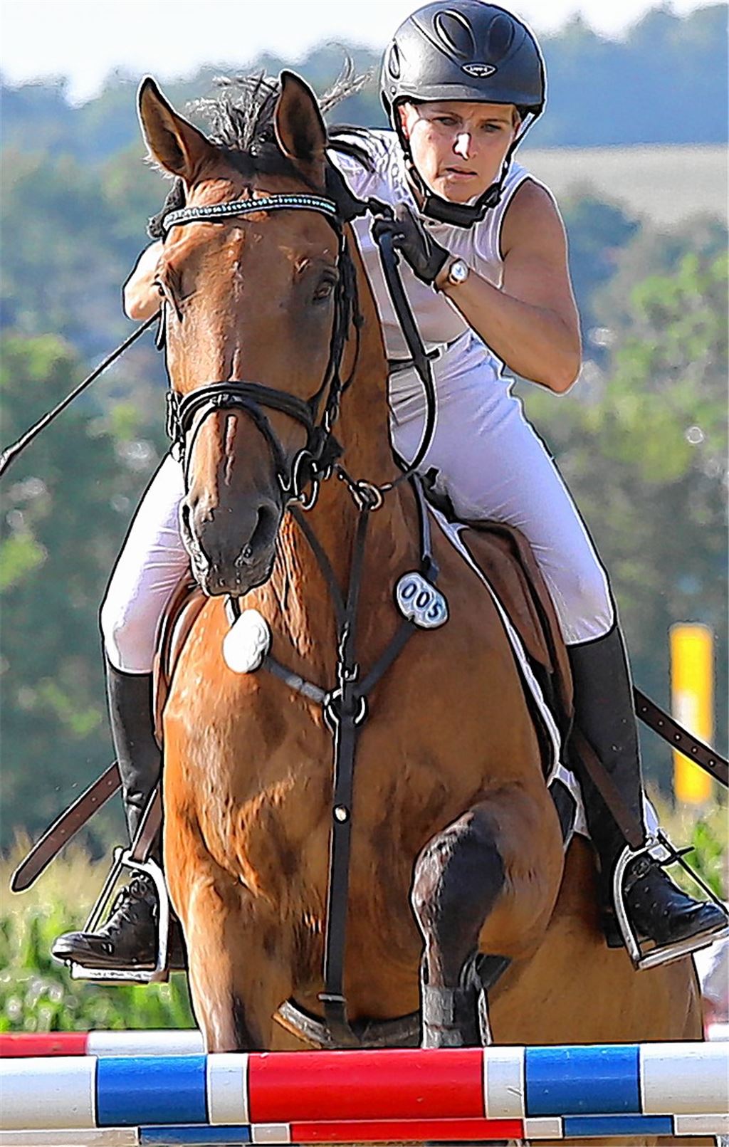 Spannendes Turnier für Pferdefreunde
