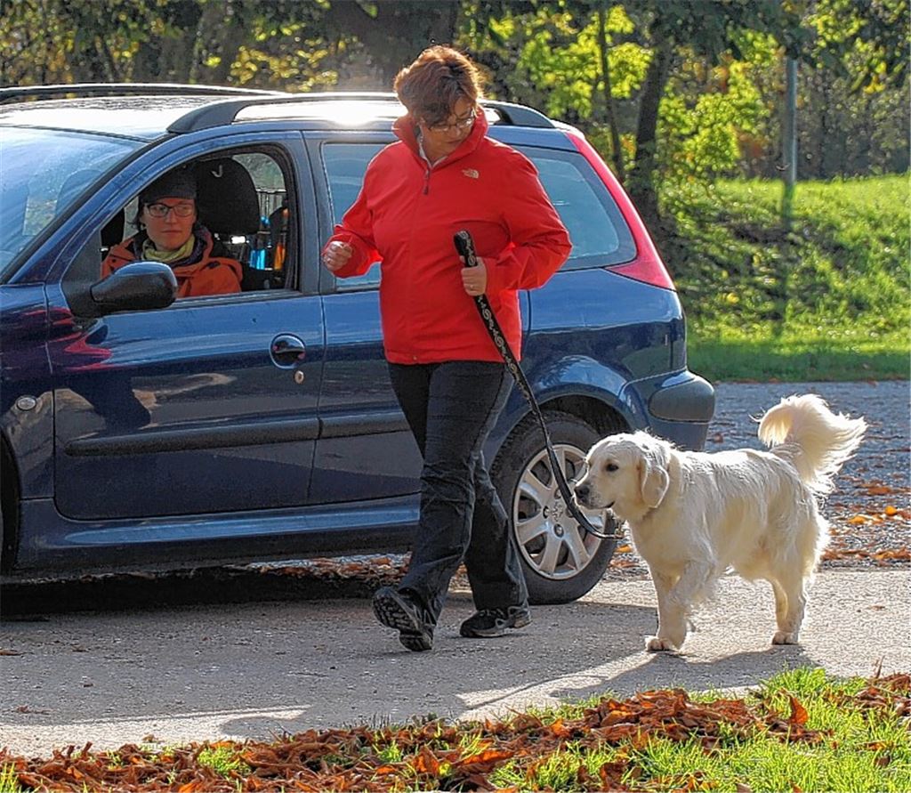 Mensch-Hund-Teams meistern erste Prüfung