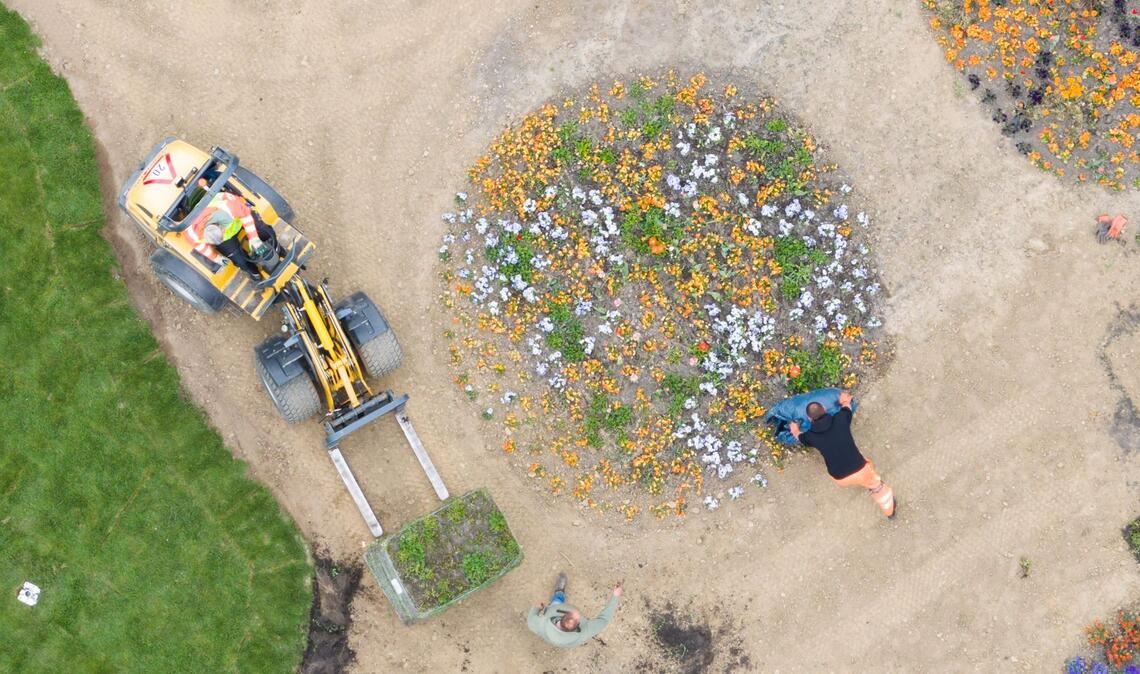 Gärtner pflanzen Blumen auf dem Gelände der Landesgartenschau 2026 in Bad Nenndorf.
