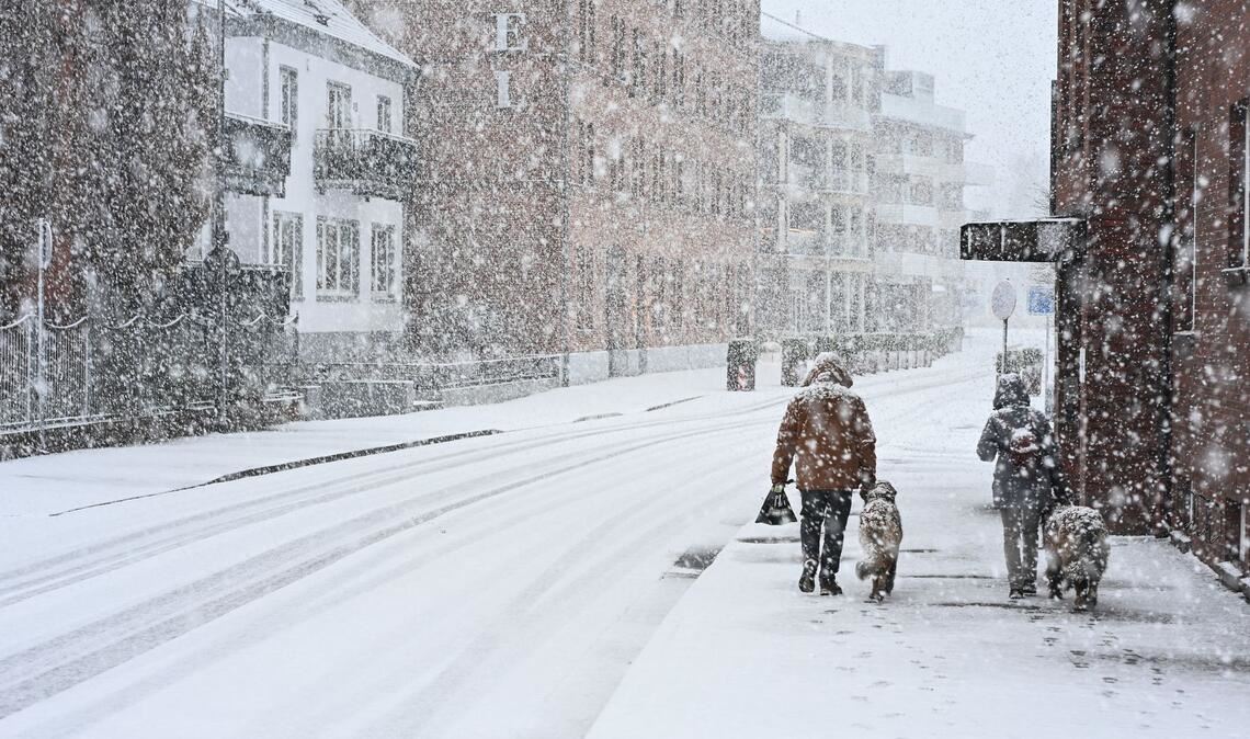 "Gassi gehen" im Schnee: Hunde und ihre Besitzer sind in Leer unterwegs.