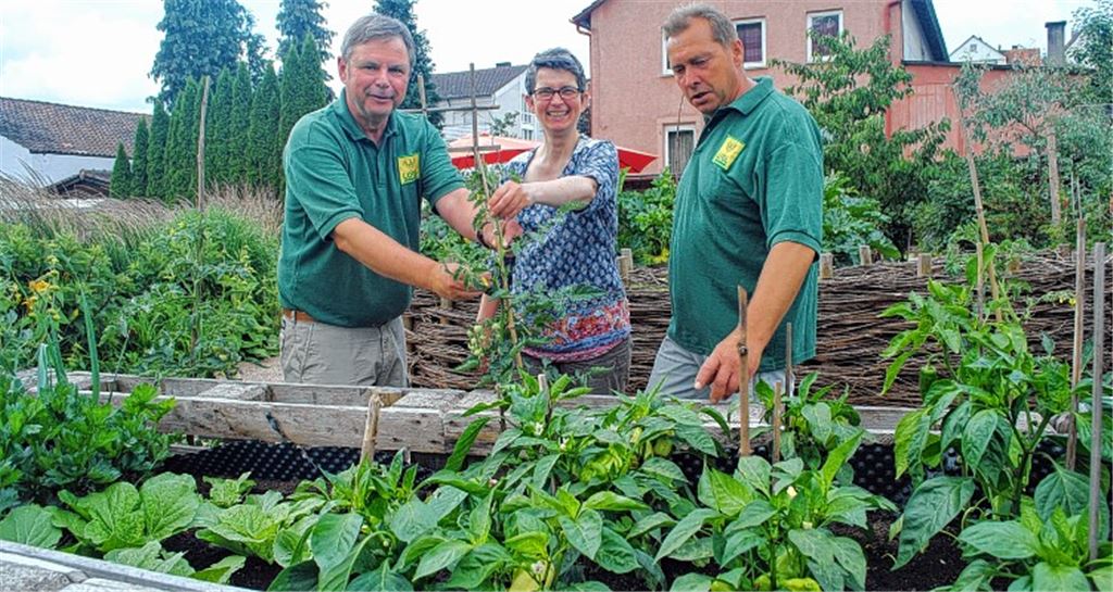Dickköpfiges Getreide und buntes Gemüse