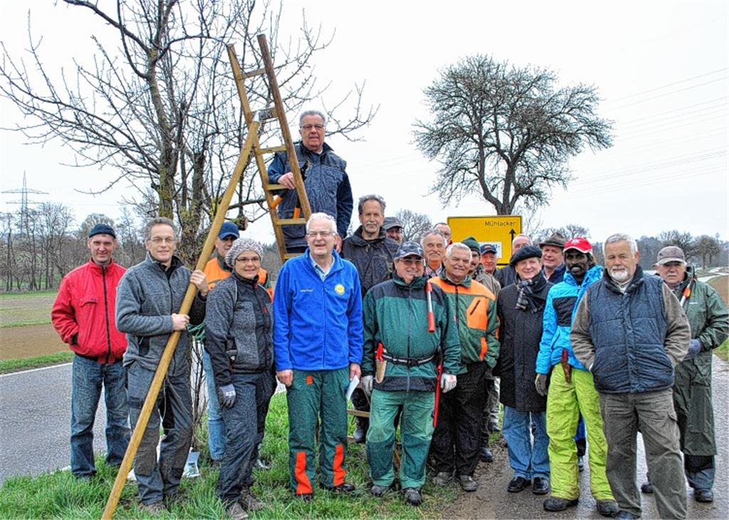Geballtes Fachwissen: Bürgermeister Winfried Abicht (5. v.re.) und Obstbaufachberater Bernhard Reisch (2 v.li.) begrüßen Fachwarte, die am Samstag die Obstbäume entlang der Landesstraße zwischen Ötisheim und Mühlacker geschnitten haben. Foto: Stahlfeld