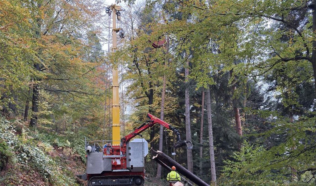 Gefällte Bäume werden mit einem Seilkran aus dem Hang gezogen. Foto: Enzkreis/Gohlke
