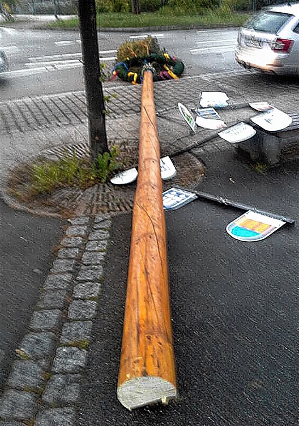 Gefällter Maibaum in Lomersheim. Foto: privat