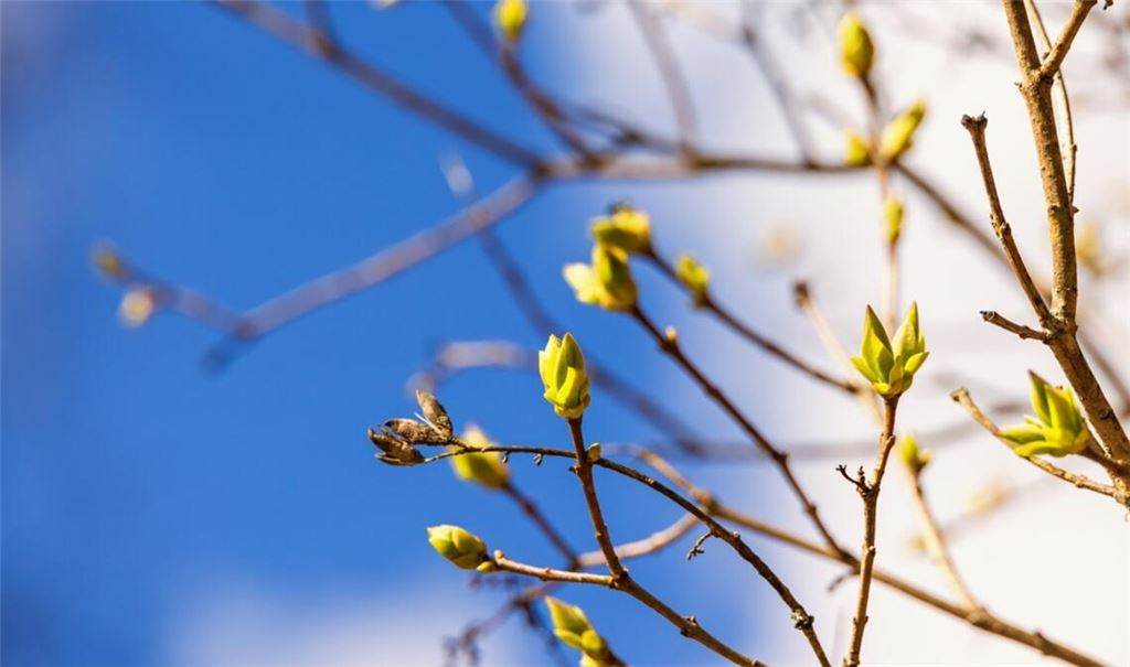 Geht der Frühling jetzt so richtig los?
