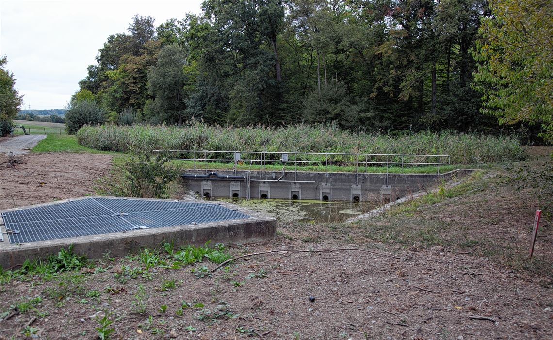 Gelangen über diesen Retentionsbodenfilter und den daneben liegenden Löschteich Schadstoffe aus dem Industriegebiet Erlen in den Mühlgraben und damit ins Grundwasser? Das soll ein neues Gutachten klären.Helbig