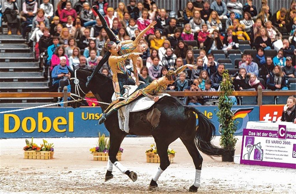 Pegasus kann zum Saisonauftakt jubeln